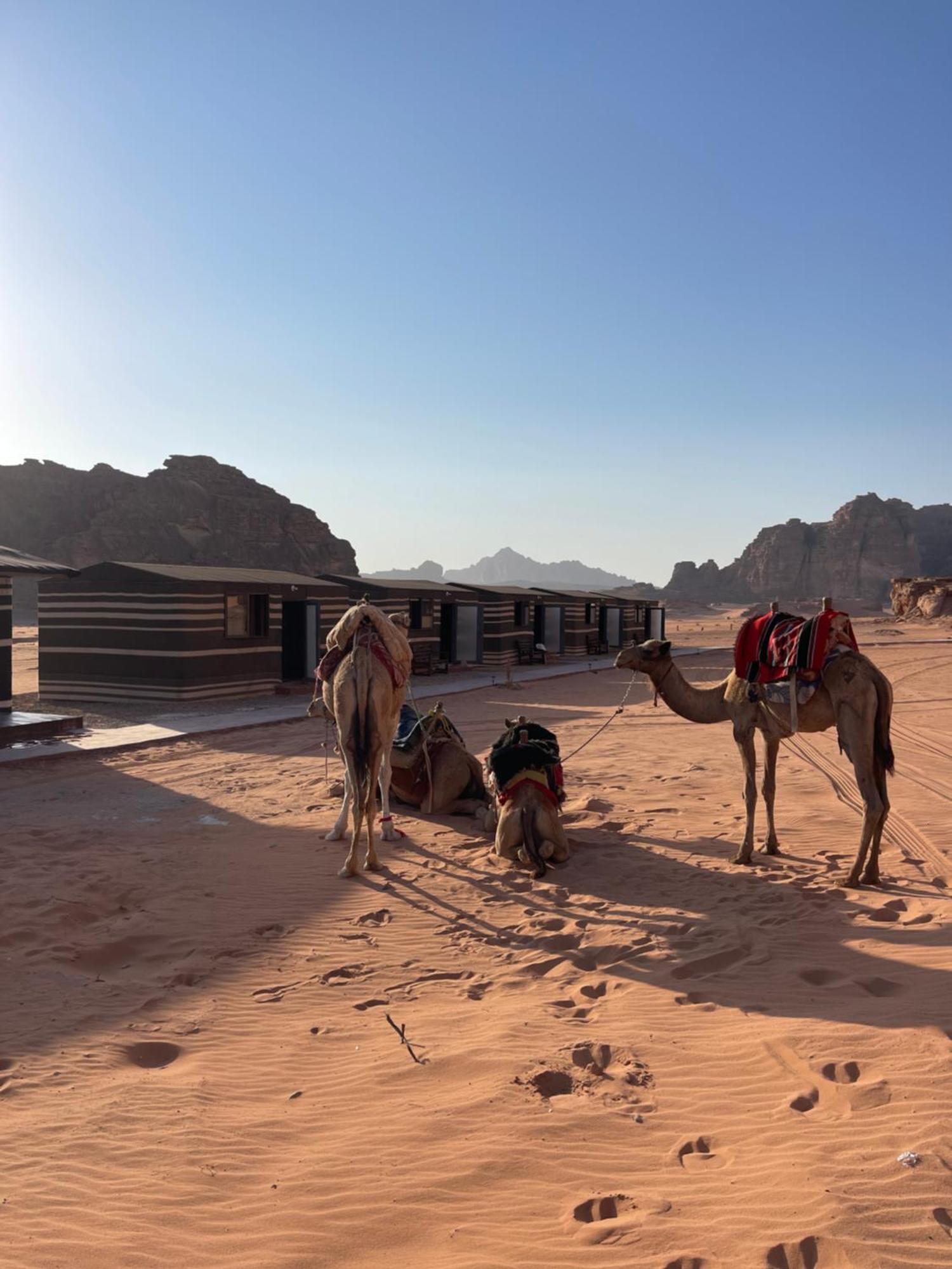 Wadi Rum Star Camp Екстериор снимка